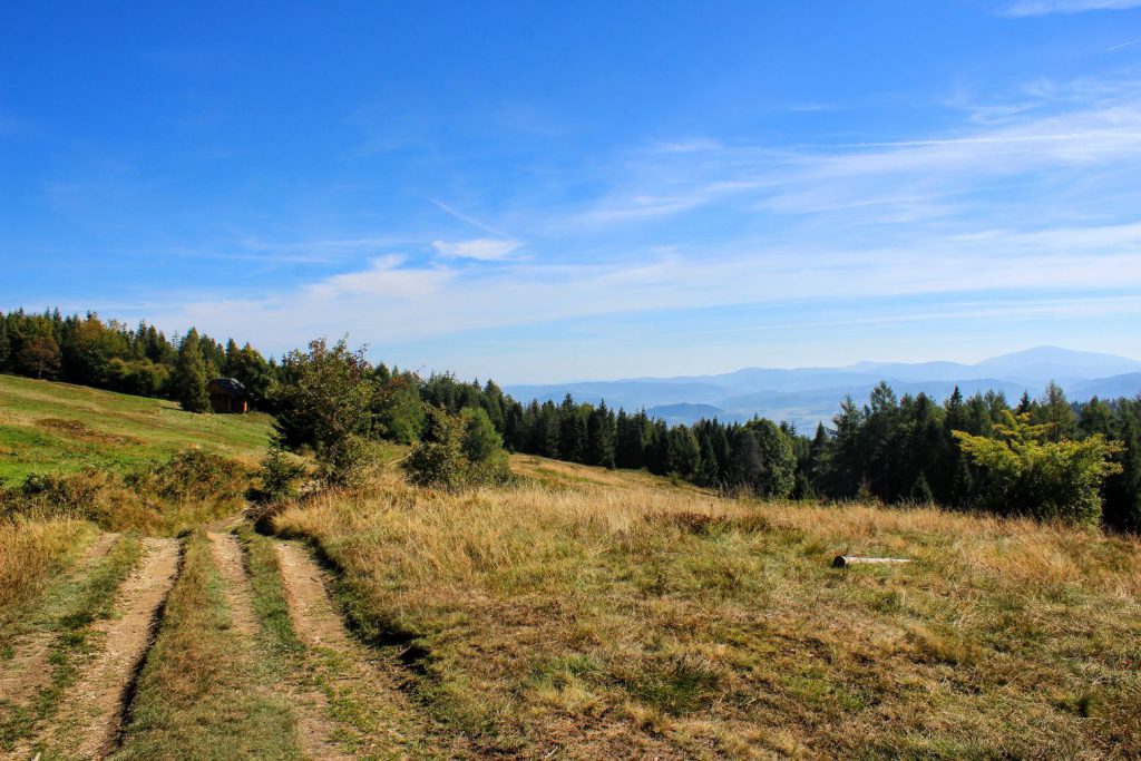 Hala Jaworzyna w letniej scenerii, widoczna szeroka, utwardzona droga, w oddali widoczne góry