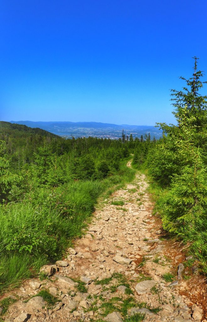 Kamienista ścieżka na zielonym szlaku - Muronka, w oddali widok na Jezioro Żywieckie