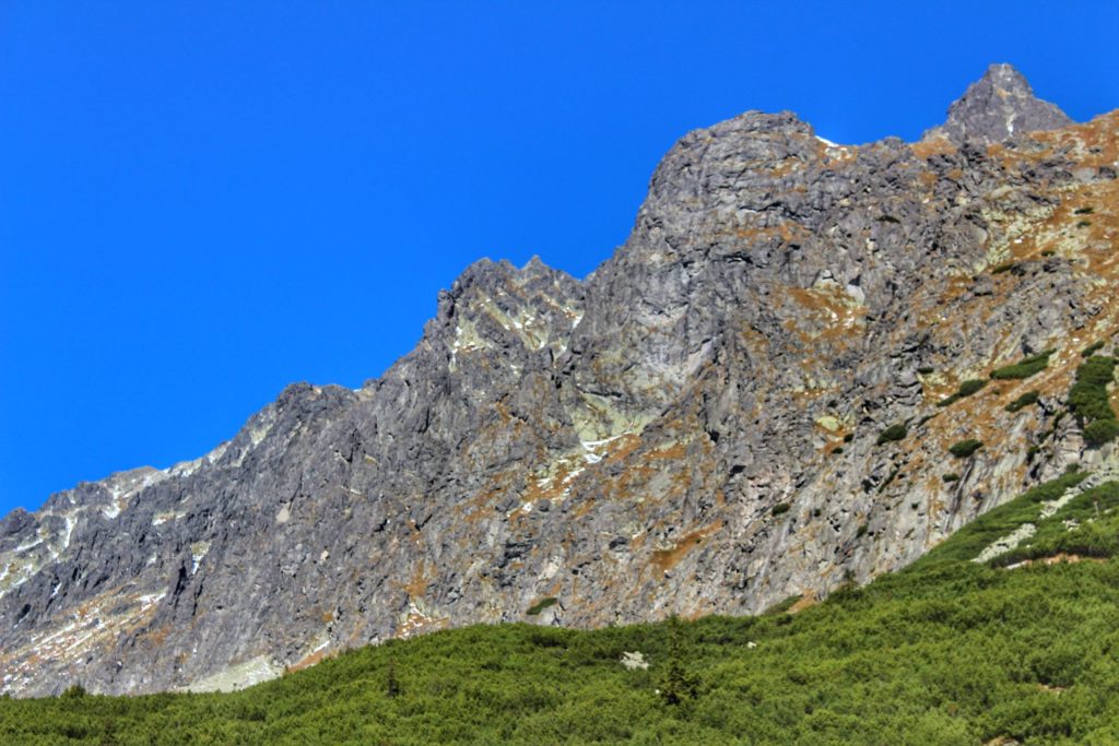 Skalna ściana w Tatrach Wysokich, kosodrzewina, błękitne niebo