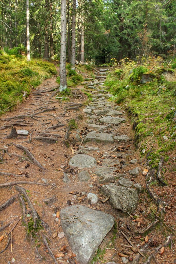 Strome, skalne podejście na szlaku w Tatrach Słowackich