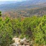 Strome, skalne podejście prowadzące wśród kosodrzewiny