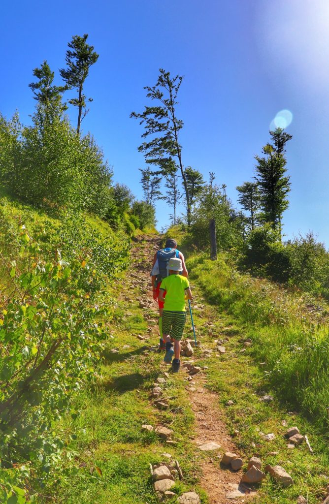 Turyści - dziecko i mężczyzna idący w górę szlaku zieloengo prowadzącego na Magurkę Radziechowską, letni dzień, niebieskie niebo