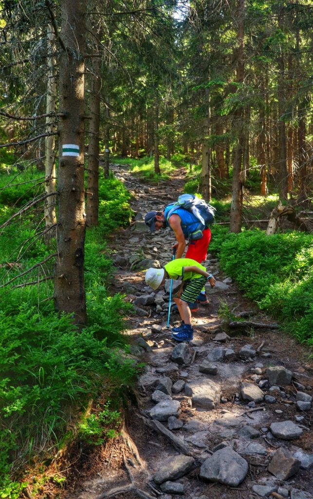 Turysta z dzieckiem na zielonym szlaku na Magurkę Radziechowską w Beskidzie Śląskim, kamieniste podejście przez las