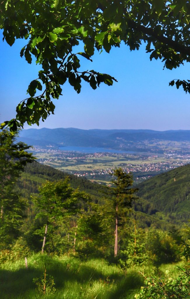 Widok na miasto Żywiec oraz Jezioro Żywieckie z zielonego szlaku na Magurkę Radziechowską