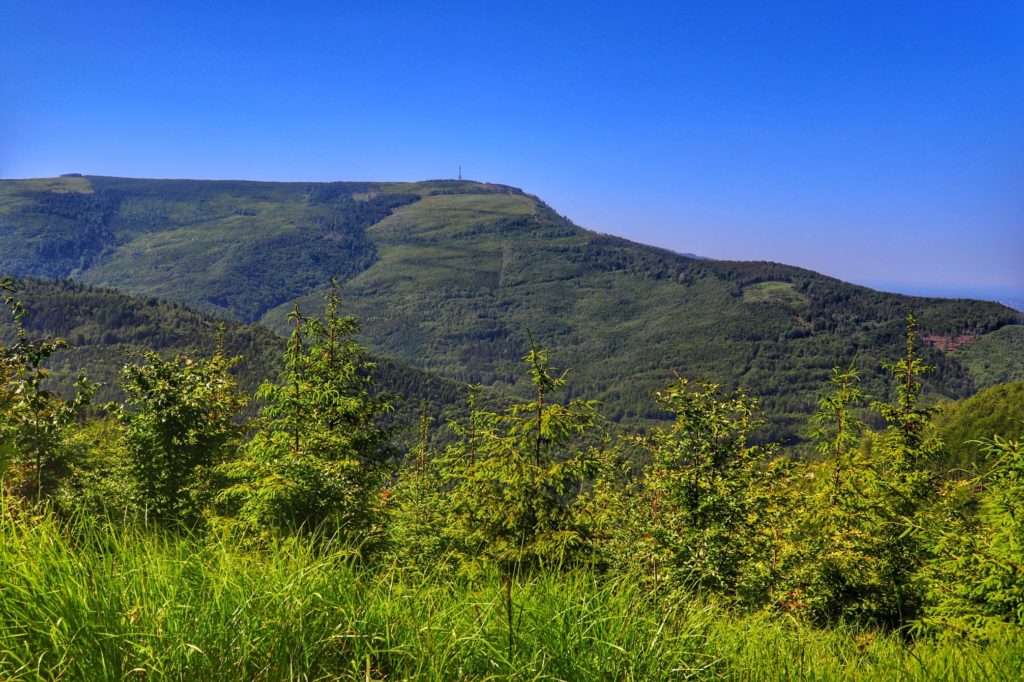 Widok na szczyt Skrzyczne z zielonego szlaku na Magurkę Radziechowską - Muronka