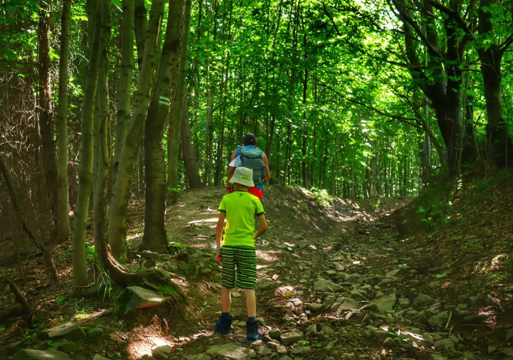 Wieś Ostre szlak zielony na Magurkę Radziechowską, dziecko z tatą, strome kamieniste podejście przez las