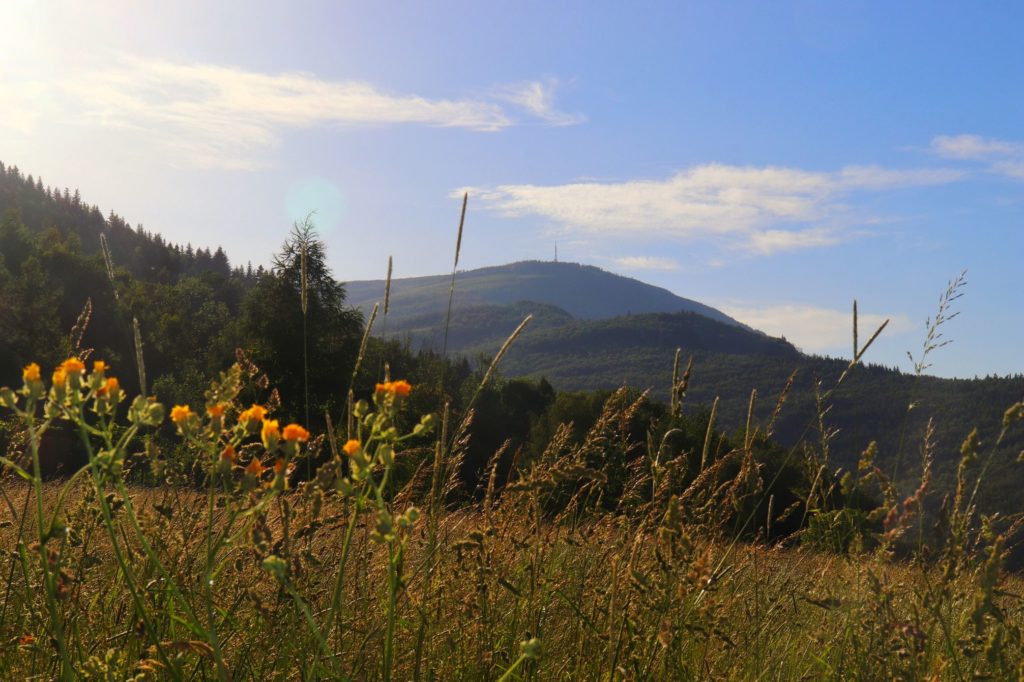 Wieś Ostre - widok na Skrzyczne z zielonego szlaku na Magurkę Radziechowską