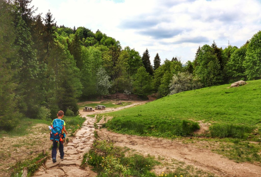 Dziecko na zielonym szlaku w Pieninach - Wąwóz Homole, widok na Dubantowską Polanę