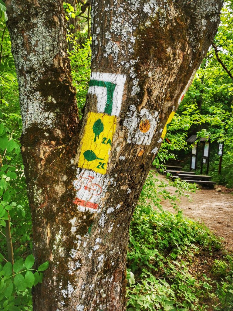 Jaworki, miejsce skrętu szlaku zielonego do Wąwozu Homole w Pieninach