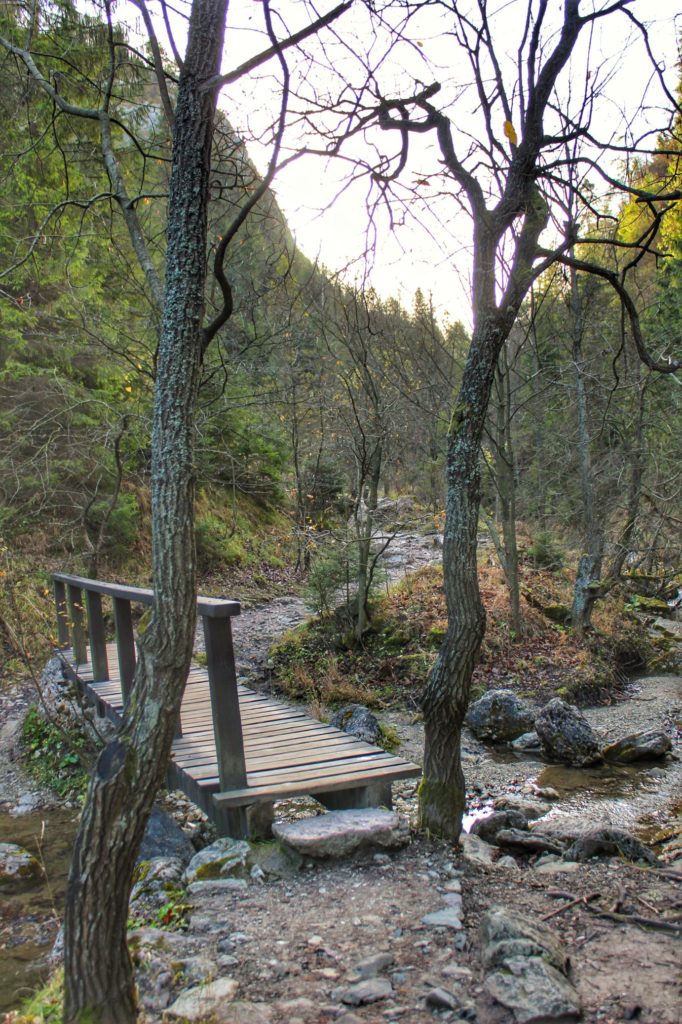 Kamienista ścieżka, mostek prowadzący przez Wąwóz Homole
