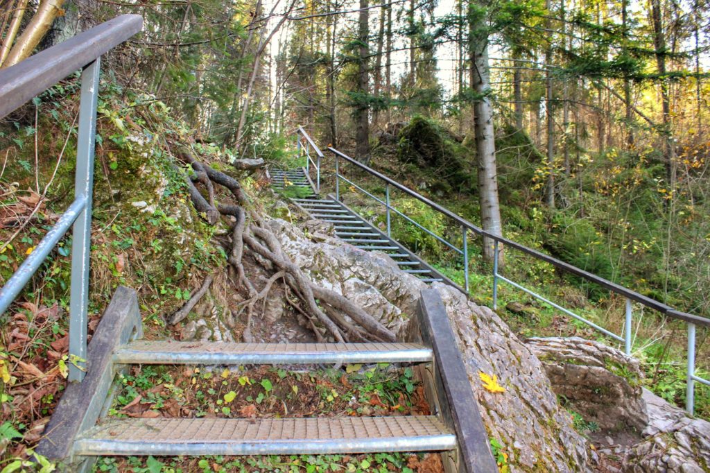 Metalowe schody, Wąwóz Homole, las