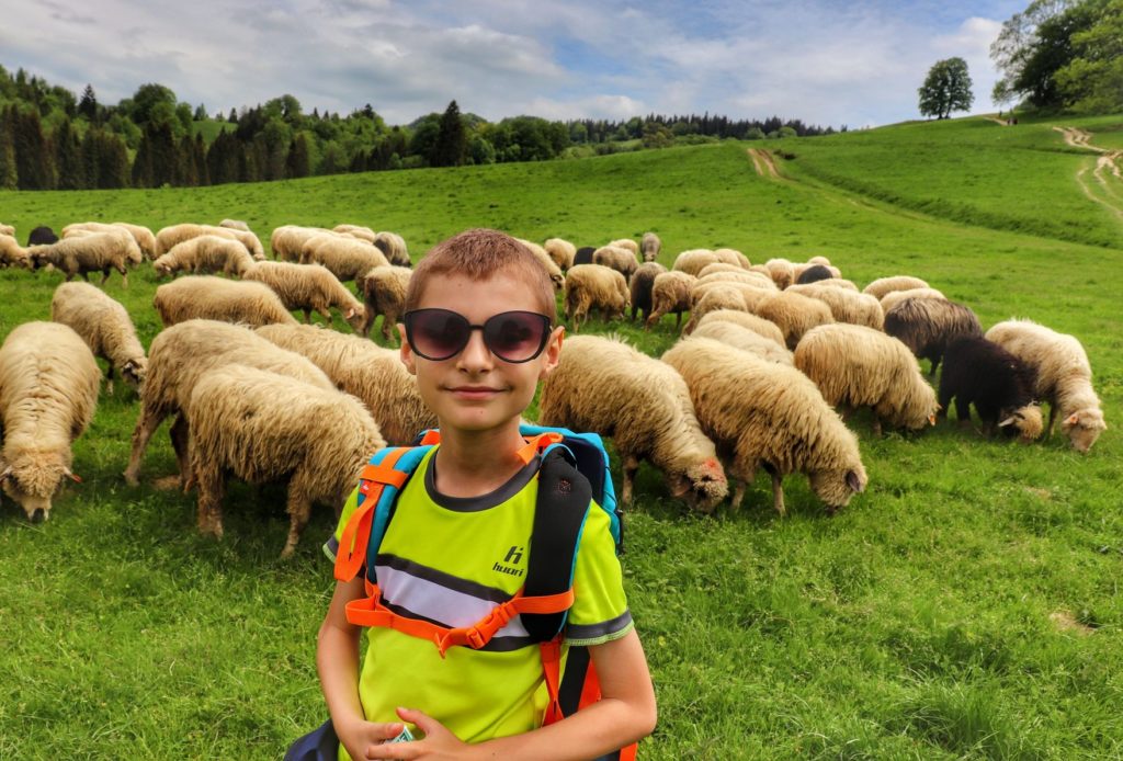 Uśmiechnięte dziecko na Polanie pod Wysoką - Pieniny, w tle owce