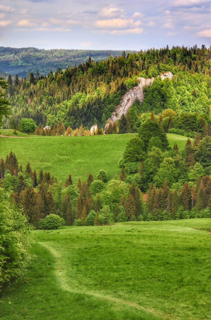 Widok na Polanę pod Wysoką z zielonego szlaku na Wysoką, wiosenna zieleń