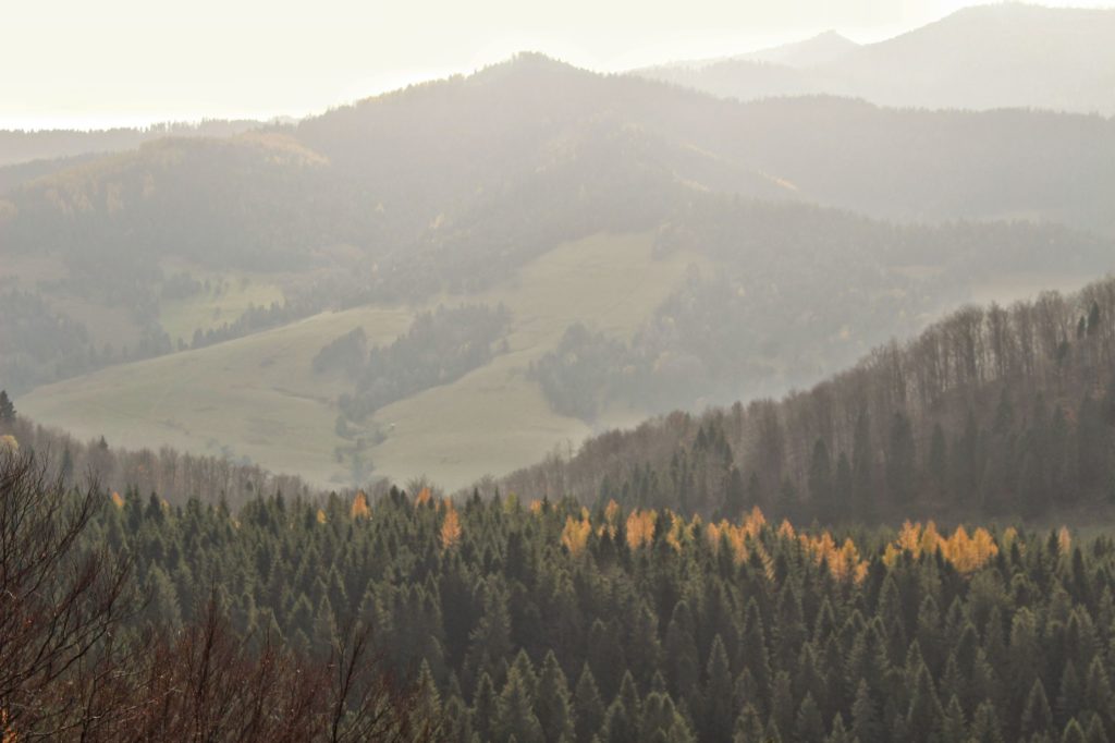 Zamglony,jesienny krajobraz górski z punktu widokowego pod Wysoką