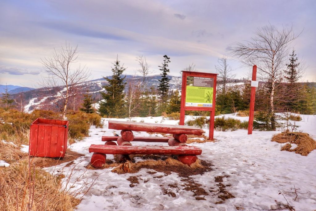 Drewniany stolik z ławkami poniżej skrzyżowania szlaków - Grabowa, zaraz przy czerwonym szlaku idącym na Kotarz, zima