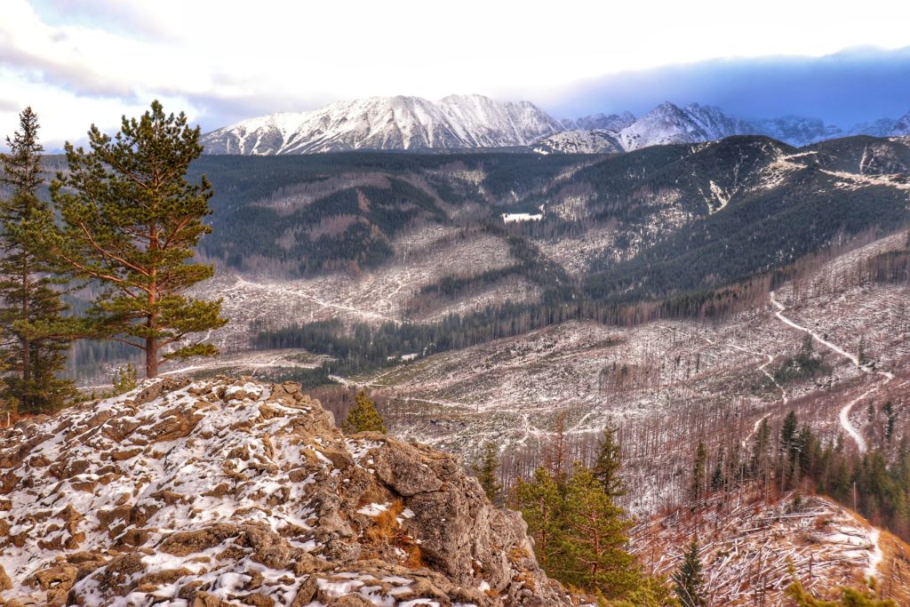Zimowe, ośnieżone Tatry widoczne ze szczytu Nosal, wychodnia skalna, drzewa