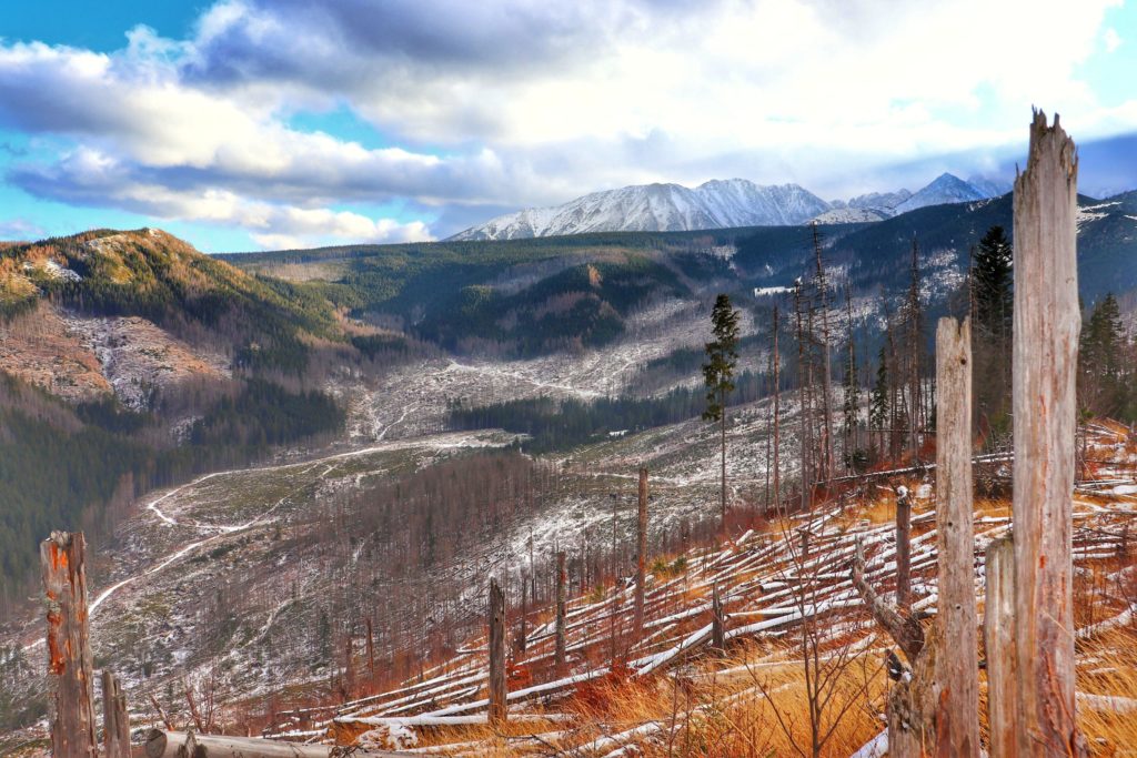 widok na ośnieżone Tatry z okolic Nosalowej Przełęczy, połamane drzewa, jesień walcząca z zimą
