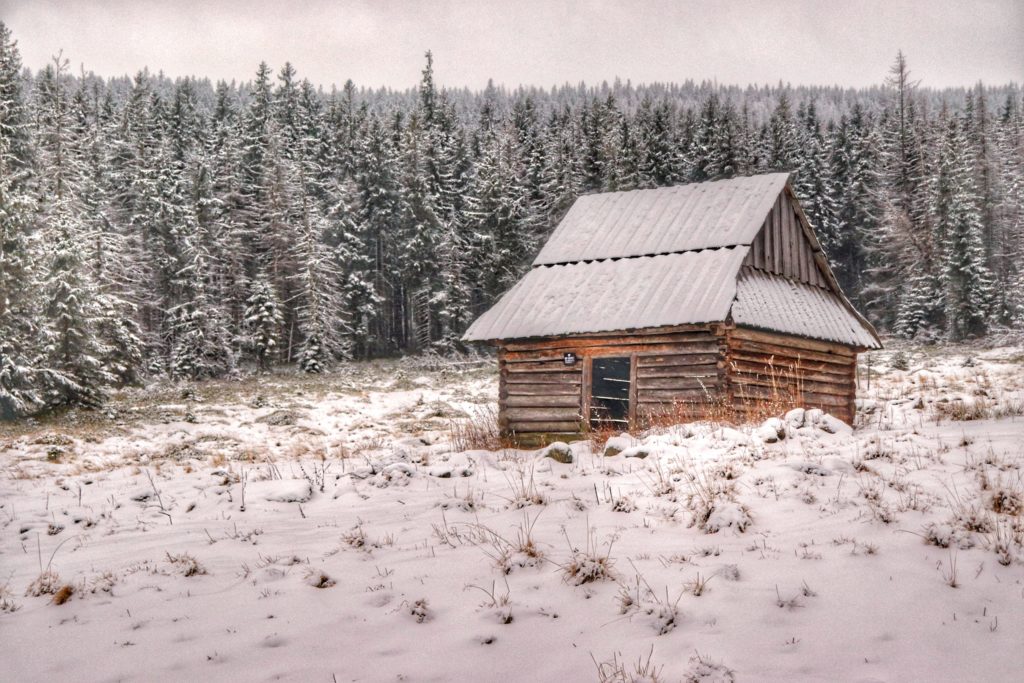 zima na Polanie Kopieniec, zaśnieżony szałas pasterki, w tle ośnieżone drzewa