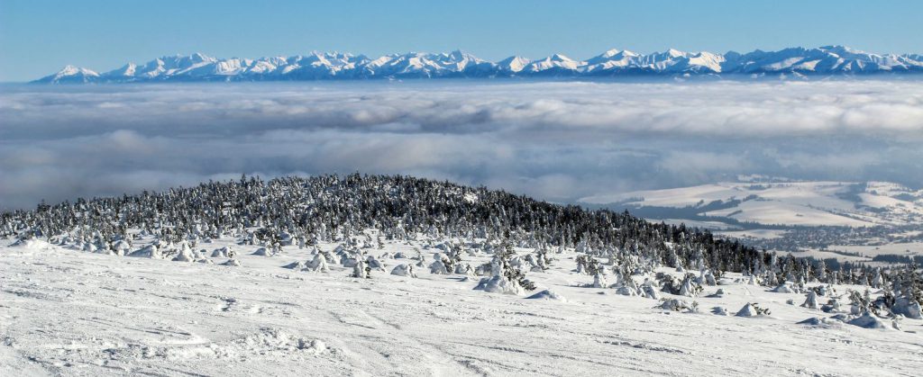 Widok na zaśnieżone Tatry rozciągający się ze szczytu Pilsko, morze mgieł 