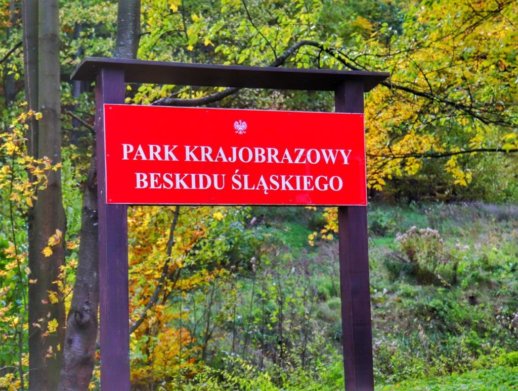 Czerwona tabliczka z napisem PARK KRAJOBRAZOWY BESKIDU ŚLĄSKIEGO w drodze na Szyndzielnię