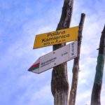 Żółta tabliczka z napisem Polana Kamienica 975 m n.p.m. oraz tabiczka informująca, że szlakiem czerwono - zielonym do schroniska na Szyndzielni jest 5 minut, niebieskie niebo