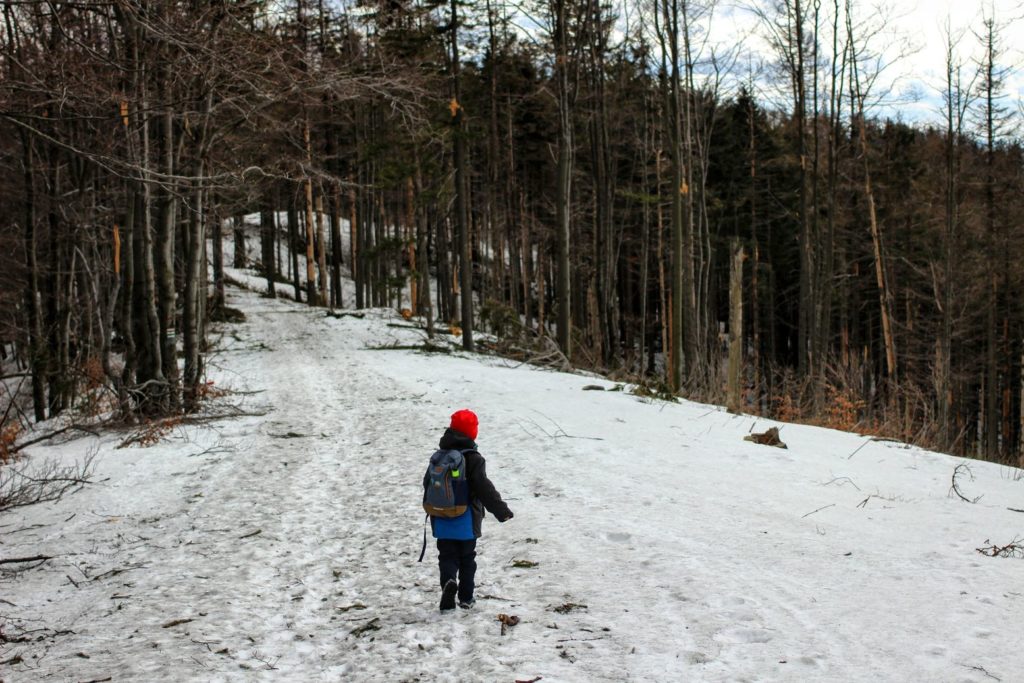 Dziecko idące zaśnieżoną, leśną drogą
