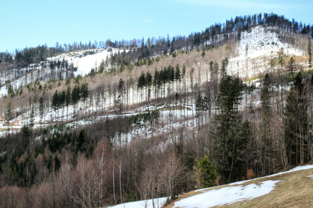 Widok na szczyt Stożek ledwo pokryty śniegiem, widoczna odwilż