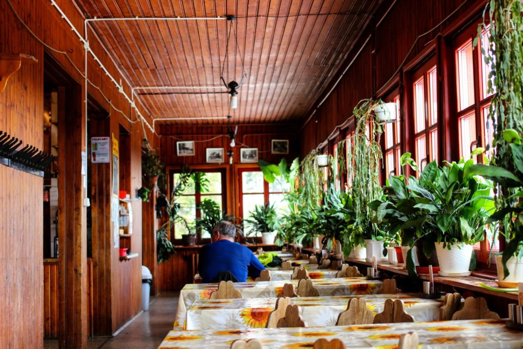 Drewniane wnętrze schroniska PTTK na Stożku Wielkim, stoły, przy jednym ze stołów siedzi mężczyzna, po prawej stronie kwiaty leżące na parapecie 