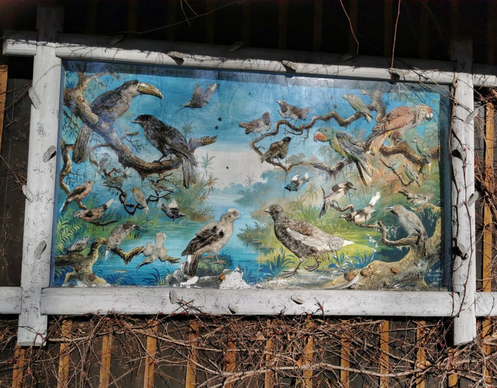 Obraz ptaków wiszący na budynku Schroniska Stefanka w Beskidzie Śląskim