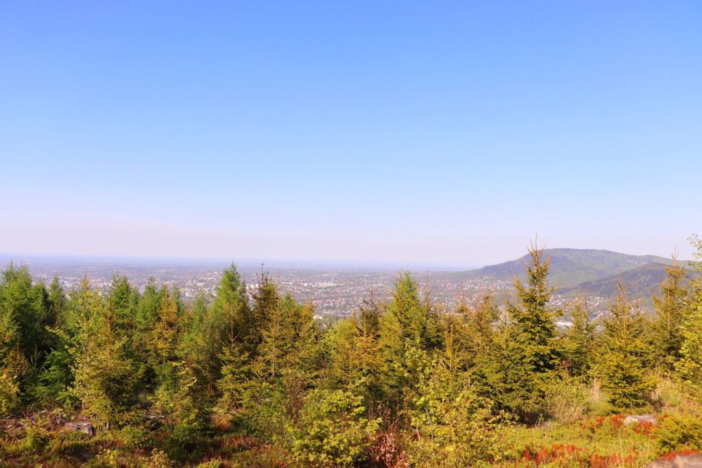 Widok na miasto Bielsko-Biała i okolice (Mikuszowice, Wilkowice) z niebieskiego szlaku na Kozią Górę