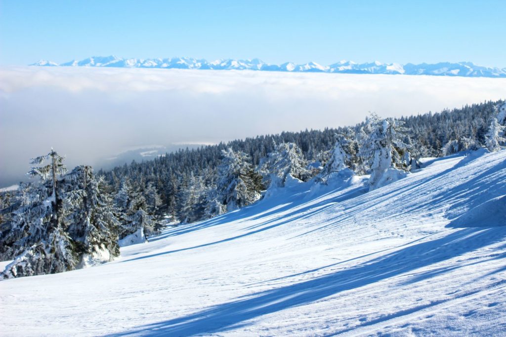 zaśnieżona droga na Pilsko, w tle drzewa iglaste oraz morze chmur z Tatrami