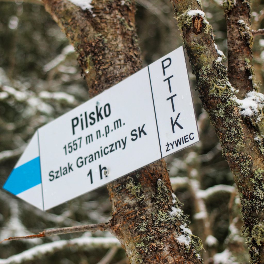 Biała tabliczka w kształcie strzałki wisząca na drzewie opisująca niebieski szlak na Pilsko