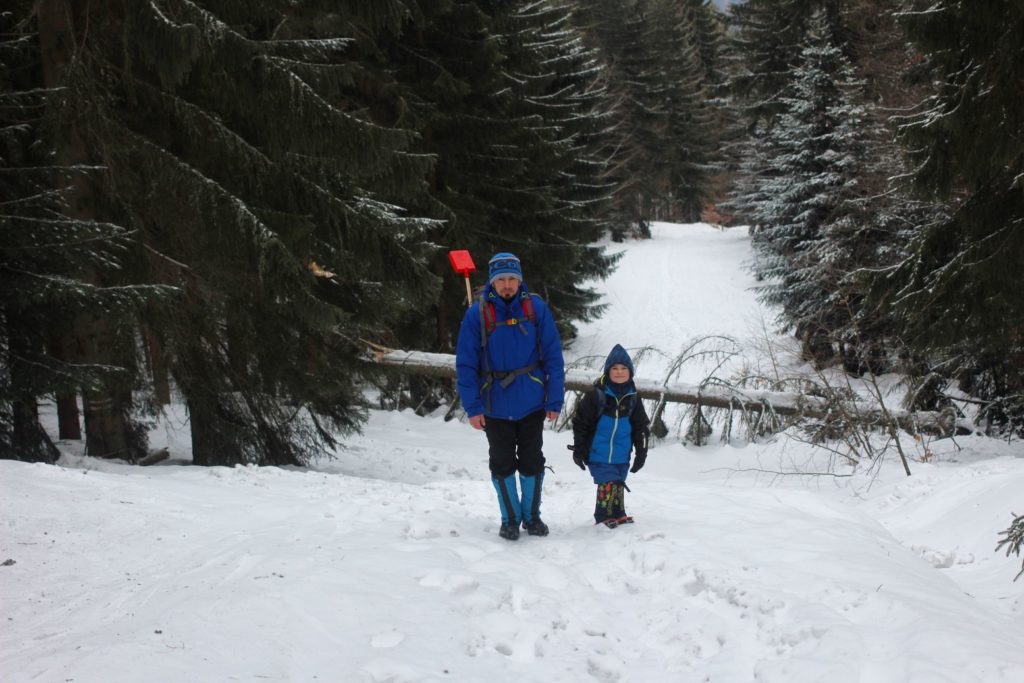 dziecko z tatą idące szeroką dróżką leśną po śniegu