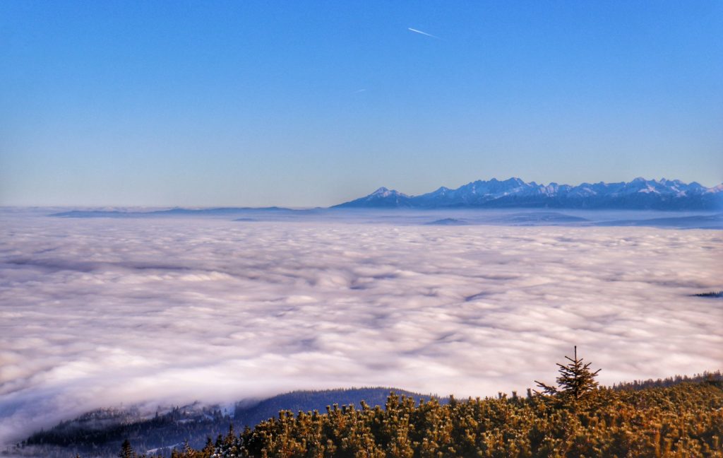 Zaśnieżone Tatry widoczne ze szczytu Pilsko, ocean chmur