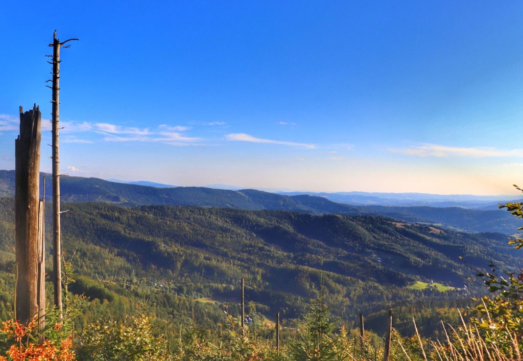 Malinów w Beskidzie Śląskim - widok rozciągający się z czerwonego szlaku na Malinowską Skałę, niebieskie niebo
