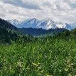 Łapsze Wyżne, widok na zaśnieżone Tatry (szlak czerwony)
