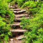 Drewniane schody na szlaku prowadzącym na Przedni Salatyn