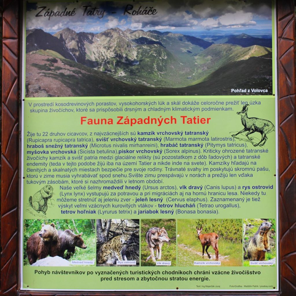Tablica informująca turystów na szlaku na szczyt Brestowa o gatunkach zwierząt Tatr Zachodnich