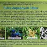 Tablica informująca turystów na szlaku na szczyt Brestowa o roślinności Tatr Zachodnich