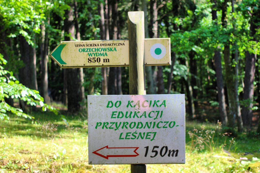 Leśna ścieżka dydaktyczna Orzechowo