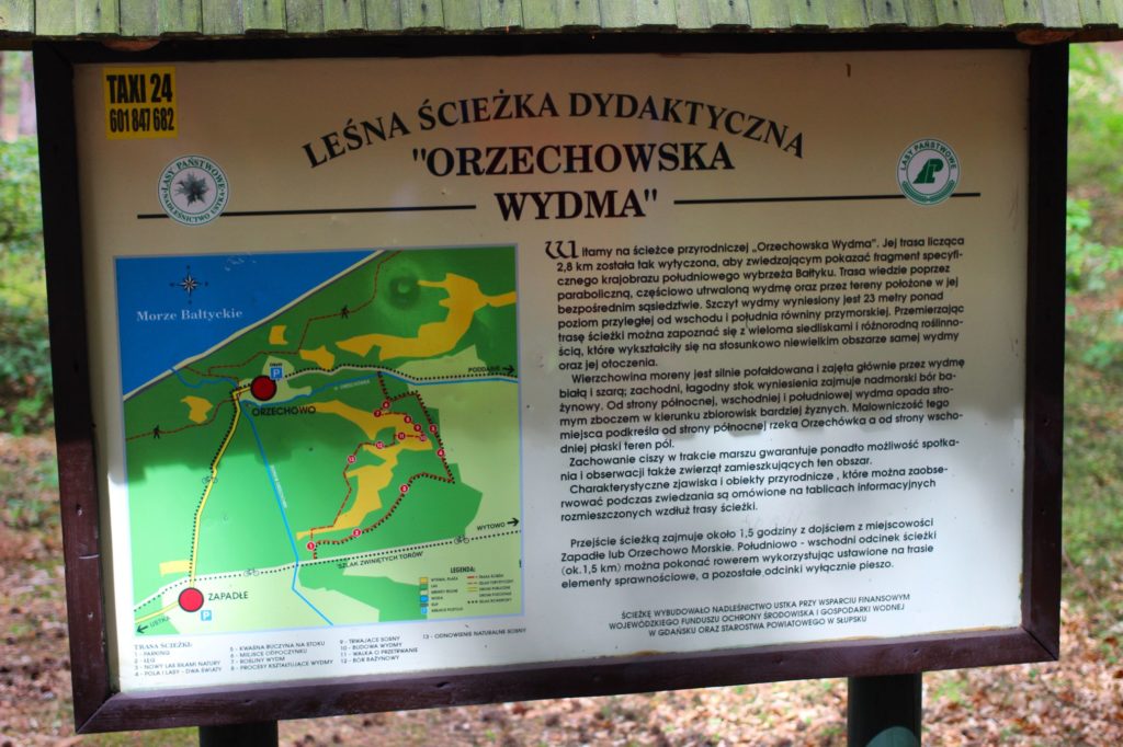 Tablica informacyjna Leśna ścieżka dydaktyczna Orzechowo