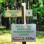 Drogowskaz leśna ścieżka dydaktyczna Orzechowo