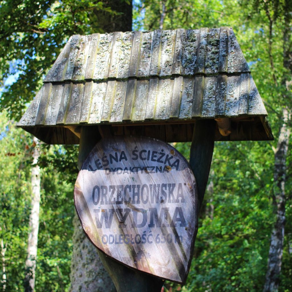 Leśna ścieżka dydaktyczna Orzechowska Wydma drewniany drogowskaz