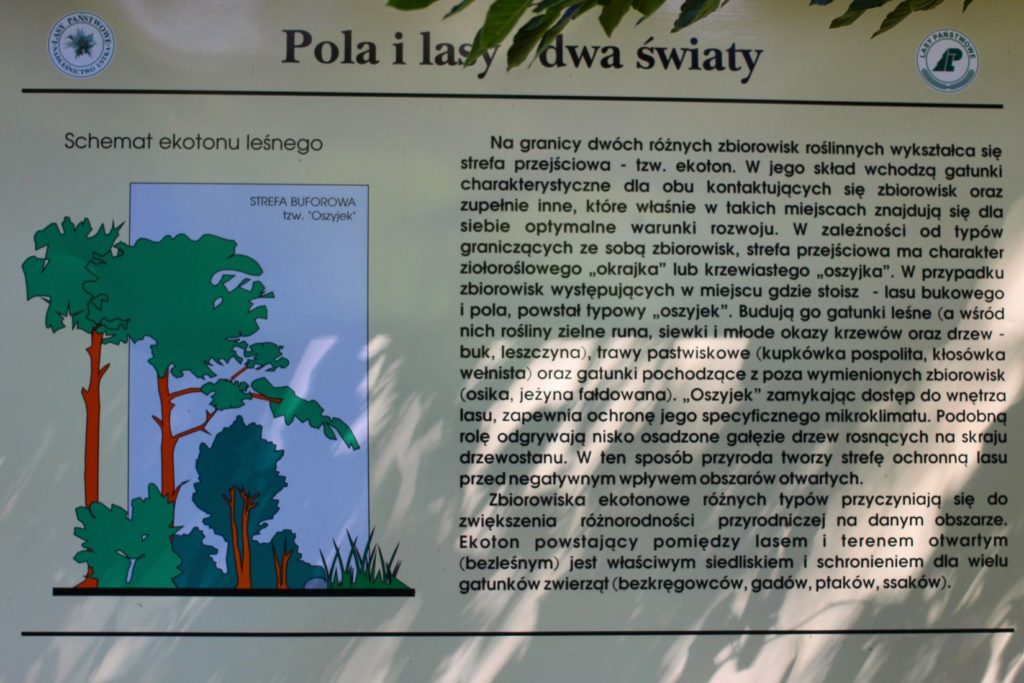 Tablica informacyjna Pola i lasy dwa światy