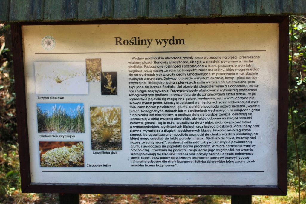 Tablica informacyjna rośliny wydmy