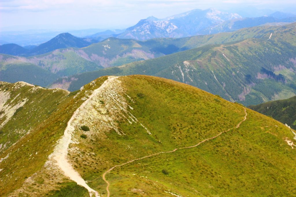 Dróżka prowadząca na szczyt Brestowa na tle Tatr Zachodnich