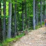 Kobieta maszerująca kamienistą drogą na żółtym szlaku na Raczę