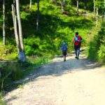 Oznaczenie skrętu lewo żółtego szlaku na drzewie na Wielką Raczę, w tle mężczyzna z dzieckiem