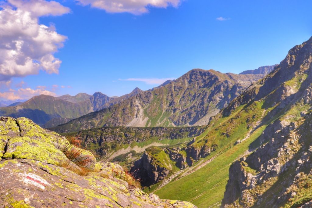Skała - oznaczenie szlaku czerwonego na Salatyn, krajobraz górski - Tatry słowackie