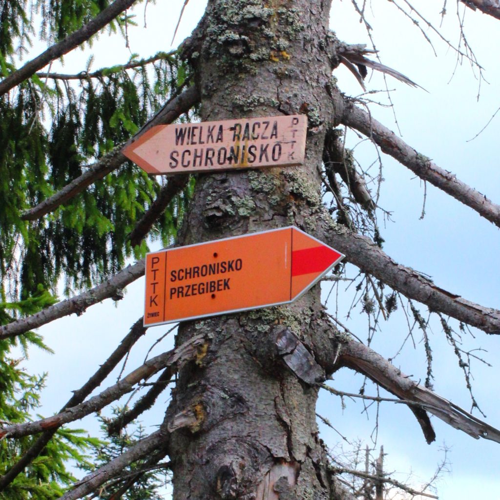 Tabliczki - drogowskazy wiszące na drzewie wskazujące kierunek drogi do Schroniska Wielka Racza na lewo oraz czerwony szlak obrócony w prawo wskazujący drogę do schroniska Przegibek